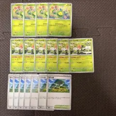 スボミー、シェイミ、活力の森