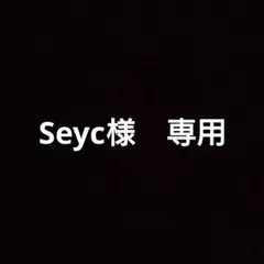 Seyc様　専用