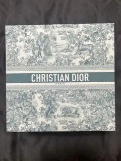 ⭐︎ChristianDiorギフトBOX(大)＋ミニミニクッション入り◯