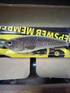 deps 2026年members limited 会員限定　新品未使用のサムネイル