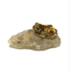 Item thumbnail for item c71bb879-ea3a-4161-b598-972561ebf2c8