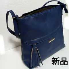 Item thumbnail for item 66bfb65a-b7e5-49d5-97cd-892cd1833e0d