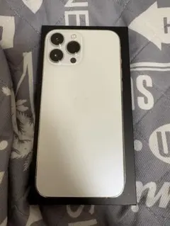 iPhone13pro max 本体　八さん専用
