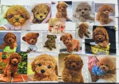 パネル生地③ １６枚セット 犬柄