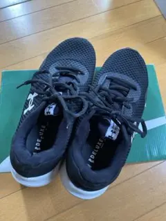 Item thumbnail for item c100f1ed-70bd-4b6d-bd80-e56f0abb1504