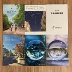 Item thumbnail for item c24a6c24-d911-4842-91f8-99fb95c5df52