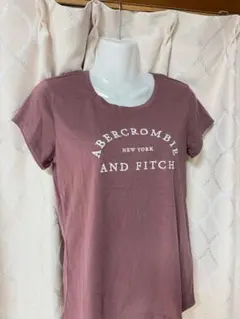 Abercrombie & Fitch 半袖Tシャツ 2枚　刺繍　アバクロ