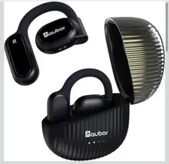 イノベーティブエディション イヤホン 完全ワイヤレスイヤホン 空気伝導