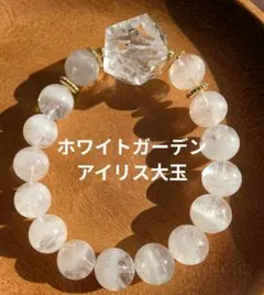 No.1218　ホワイトガーデン、大玉アイリス