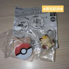 ポケモン　わくわくアスレチック　ニャース