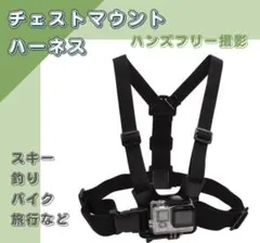 Item thumbnail for item 6a1e80db-9b73-4f95-91e3-c508cc65cb98