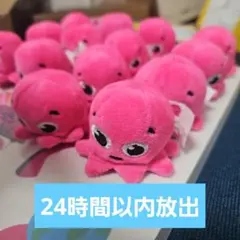 オクトパスエナジー ぬいぐるみ マスコット 14個セット 非売品 ステッカー付