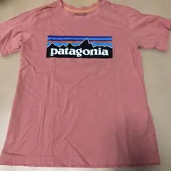 patagonia ピンク Tシャツ M(10)のサムネイル