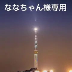 【ななちゃん様専用】ハンドメイド 10/18