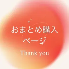 のりたん様 リクエスト 2点 まとめ商品