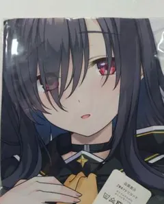 トモゾウ3様 リクエスト 2点 まとめ商品