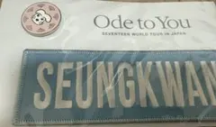 SEVENTEEN SEUNGKWAN スングァン ワッペン