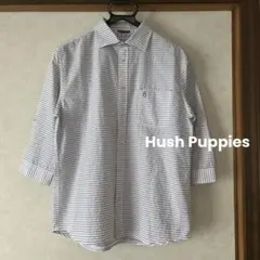 Hush Puppies シャツ　ボーダーのサムネイル