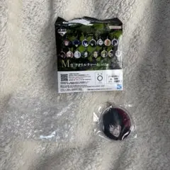 Item thumbnail for item afd3c1b7-e093-4154-9996-36bb752af5a7