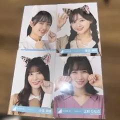 日向坂46 セット売り　ねこみみコーデ生写真セット