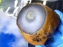 2025年最新】水入りメノウの人気アイテム - メルカリ