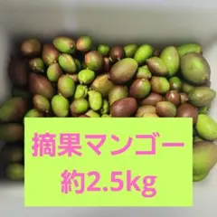 2026年最新】摘果マンゴーの人気アイテム - メルカリ