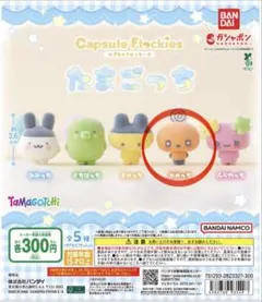 たまごっち カプセルフロッキー ズめめっち