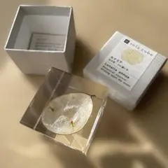ウサギノネドコ　ソラキューブ　sola cube　ルナリア