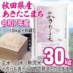農家直送 秋田県産 令和７年 あきたこまち 【白希】 30kg 秋田小町のサムネイル