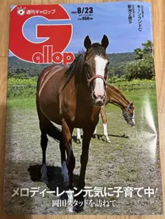 ★週刊Gallop 8/23 最新号★
