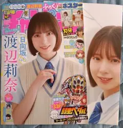 ひな図書　日向坂　渡辺莉奈　アクリルアートパネル　サインあり 43535-120-