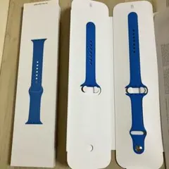 Apple 44mmケース用サーフブルースポーツバンド レギュラー