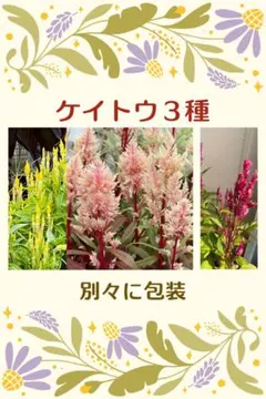 kabe様 リクエスト 3点 まとめ商品