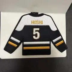 Item thumbnail for item 801c6472-2cb7-4dd0-9c25-8df3ec0765bf