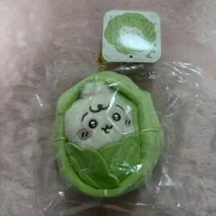 恋と深空　miniso 上海限定　さぼてん　ぬいぐるみ 日本未発売 恋と深空 × MINISO やわらかサボテンぬいぐるみマスコット