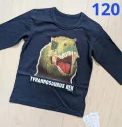 １２０★シュライヒSchleich★ティラノサウルスプリント七分袖Ｔシャツ★新品