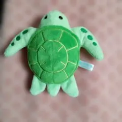 亀 キャラクターグッズ