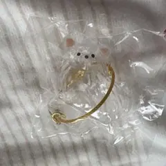 うちの子けだまだま チワワ白