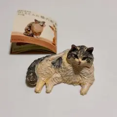 Item thumbnail for item bb6418c7-c579-41f7-b526-389135254da9