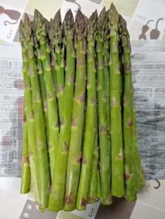 長野県信州産アスパラガスchii様専用