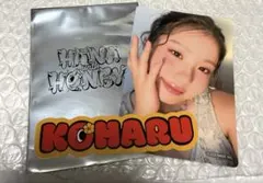 Item thumbnail for item c6ab4773-c121-4374-88db-dd499dac4fef