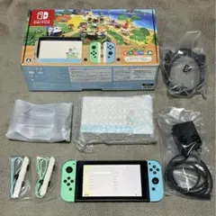 Nintendo Switch あつまれどうぶつの森セット　ソフトなし