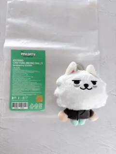 txt PPULBATU プルバトゥ ヨンモン ぬいぐるみ スビン　初期