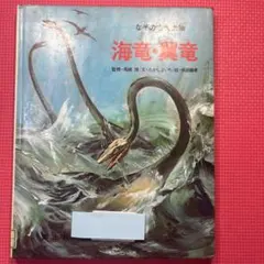 mksg様 リクエスト 2点 まとめ商品