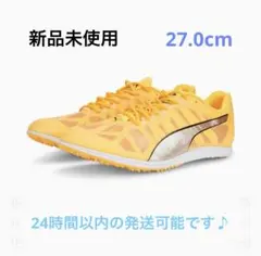 Item thumbnail for item b0634861-e191-4fbd-a5f5-a93ab2a30487