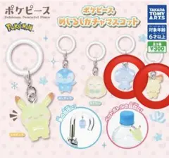 ポケモン　ポケピース　めじるしアクセサリー