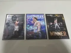 Item thumbnail for item 83e43c18-7d16-41f5-89d3-cf19509f2980