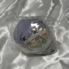 新品未開封 ヒプノシスマイク ヒプマイ もちころりん EW02 神宮寺寂雷