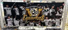 阪神タイガース　ファンクションフェイスタオル