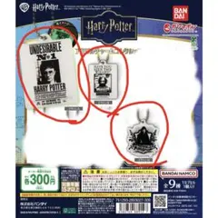 まとめ売り　ハリーポッター　アクリルチャームコレクション